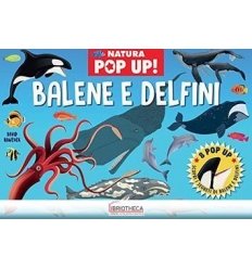 BALENE E DELFINI POP UP