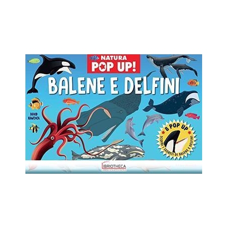 BALENE E DELFINI POP UP