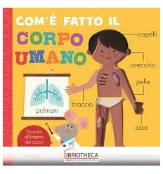 COM E FATTO IL CORPO UMANO