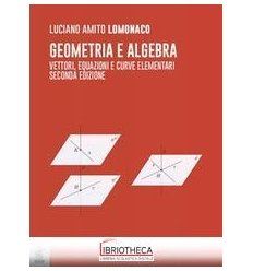 Geometria e algebra