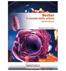 BECKER - 10/ED. CON MLAB