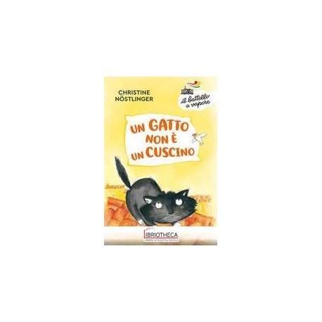 GATTO NON È UN CUSCINO (UN)