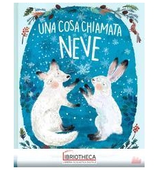 UNA COSA CHIAMATA NEVE