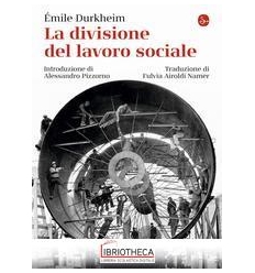 LA DIVISIONE DEL LAVORO SOCIALE