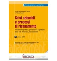 Crisi aziendali e processi di risanament