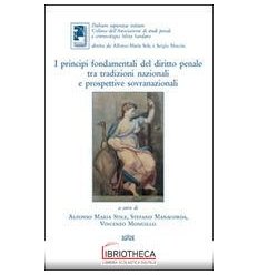 PRINCIPI FONDAMENTALI DEL DIRITTO PENALE TRA TRADIZI