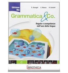 GRAMMATICA & CO ED. BLU ED. MISTA