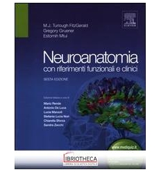 NEUROANATOMIA