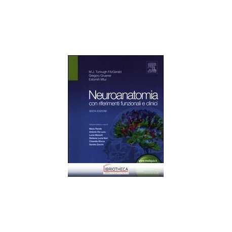 NEUROANATOMIA