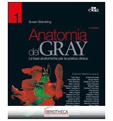 ANATOMIA DEL GRAY 2 VOL