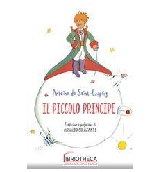 IL PICCOLO PRINCIPE