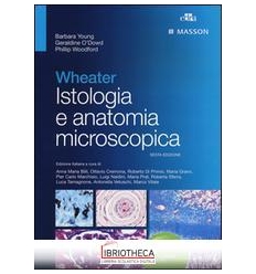 ISTOLOGIA ANATOMIA MICROSCOPICA-WHEATER