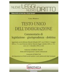 Testo unico dell'immigrazione