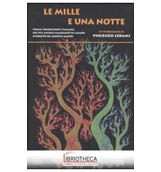 LE MILLE E UNA NOTTE