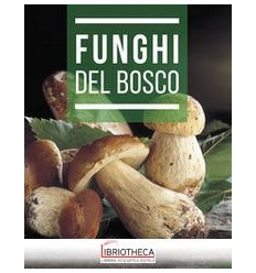 FUNGHI DEL BOSCO