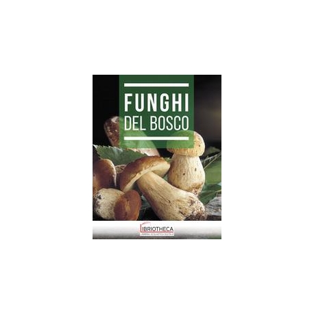 FUNGHI DEL BOSCO