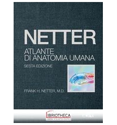 ATLANTE ANATOMIA UMANA