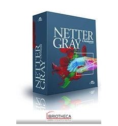 COFANETTO NETTER GRAY ANATOMIA