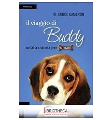 IL VIAGGIO DI BUDDY