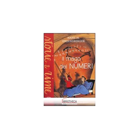 IL MAGO DEI NUMERI. UN LIBRO DA LEGGERE