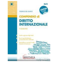 COMPENDIO DIRITTO INTERNAZIONALE (46/8)