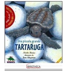 UNA PICCOLA GRANDE TARTARUGA - CON CD