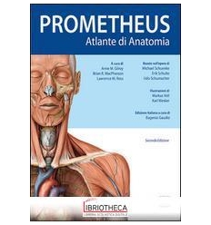 atlante-di-anatomia-prometheus-gilroy-anne-m-macpherson-brian-r-ross-lawrence-m-9788879597975  edises editore