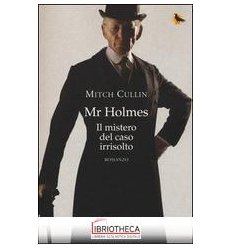 MR HOLMES