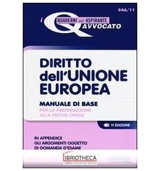 DIRITTO UNIONE EUROPEA