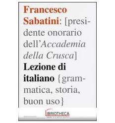 LEZIONE DI ITALIANO. GRAMMATICA, STORIA,