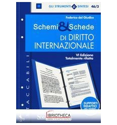 46/3 SCHEMI & SCHEDE DI DIRITTO INTERNAZ