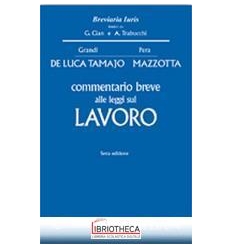 COMMENTARIO LEGGI LAVORO 6ED.