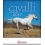 CAVALLI - CALENDARIO 2017