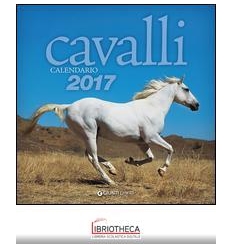 CAVALLI - CALENDARIO 2017