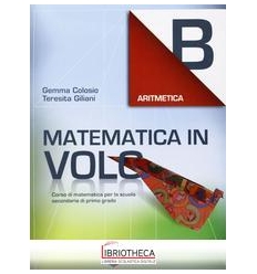 MATEMATICA IN VOLO B ED. MISTA