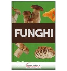 NX FUNGHI