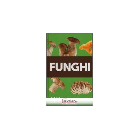 NX FUNGHI