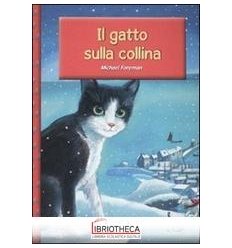 IL GATTO SULLA COLLINA