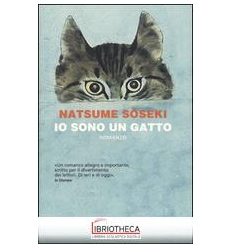 IO SONO UN GATTO