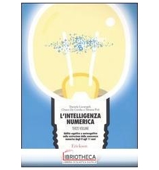 INTELLIGENZA NUMERICA 3