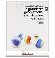 MODULI DI MATEMATICA LINEA PLUS P+