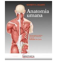 Anatomia umana