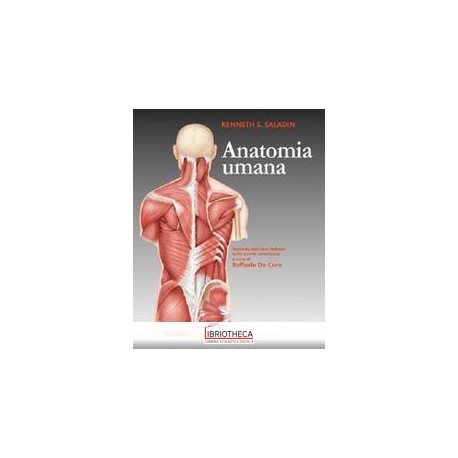 Anatomia umana