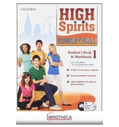 HIGH SPIRITS DIGITAL MISTO SPECIAL 1