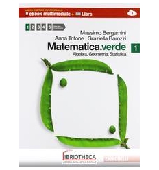 MATEMATICA VERDE 1