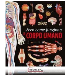 ECCO COME FUNZIONA IL CORPO UMANO