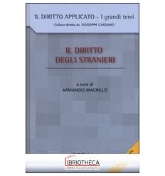 DIRITTO STRANIERI