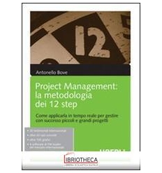 PROJECT MANAGEMENT METODOLOGIA 12 STEP