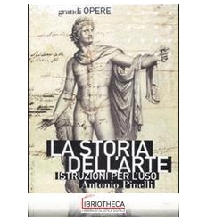 STORIA DELL'ARTE. ISTRUZIONI PER L'USO. EDIZ. ILLUST