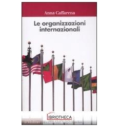 ORGANIZZAZIONI INTERNAZIONALI